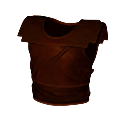 Bane’s Wraithskin Hard Leather Armor from Bane’s Garments set in D2R Reign of the Warlock